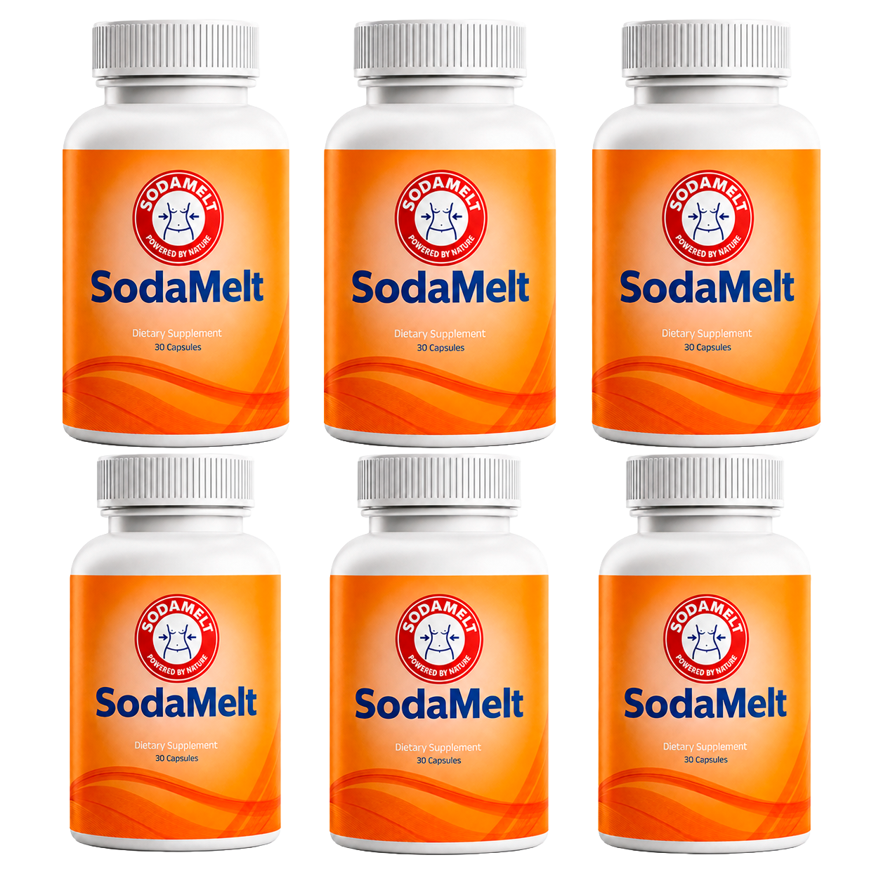 SodaMelt 6 Bottles